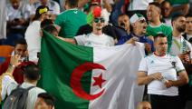 Algeria supporters cheer ahead of during the 2019 Africa Cup of Nations (CAN) Semi-final football match between Algeria and Nigeria at the Cairo International stadium in Cairo on July 14, 2019. (Photo by FADEL SENNA / AFP) (Photo credit should read FADEL SENNA/AFP via Getty Images)