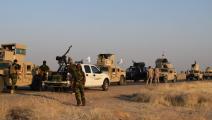 قوات البشمركة والقوات العراقية-أوزين جولا/الاناضول
