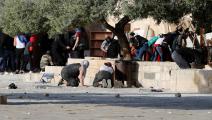 عشرات الإصابات باقتحام قوات الاحتلال المسجد الأقصى (أحمد غرابلي/فرانس برس)