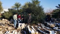 ترميم مقبرة الاستقلال الإسلامية في حيفا (العربي الجديد)