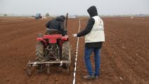 مشروع دعم محصول القمح في الشمال السوري (قطر الخيرية)