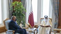 أمير قطر خلال استقباله سامح شكري/ تويتر