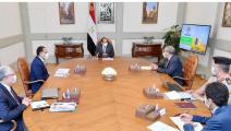 الرئيس المصري يتفقد مخون البلاد من السلع التموينية  (العربي الجديد)