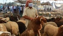 سوق لبيع الماشية في عمان/ فرانس برس