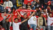 tunisia fans