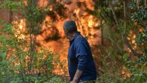 تزداد نسبة حرائق الغابات (غويليرمو سالغادو/ فرانس برس)