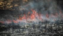 حريق غابات في اللاذقية في سورية في عام 2020 (Getty)