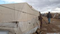 مخيمات الشمال السوري (عامر السيد علي)