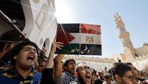 دعم شعبي تاريخي من المصريين لفلسطين (خالد دسوقي/فرانس برس)
