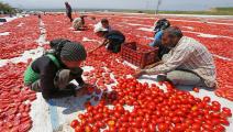 الزراعة في تركيا-زراعة تركيا-أسواق تركيا-14-12-الأناضول