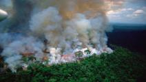 الحرائق تلتهم غابات الأمازون (تويتر)