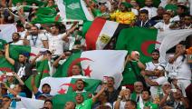 جمهور الجزائر يحتفل حتى الفجر في القاهرة "جايين نربحوها"