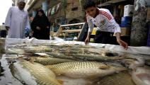 سمك العراق فرانس برس