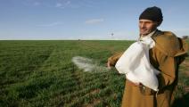 المغرب-الزراعة في المغرب-زراعة المغرب-10-1-فرانس برس