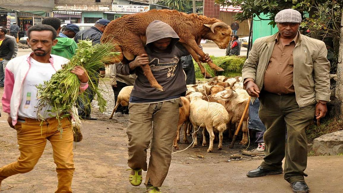 سوق ماشية في إثيوبيا