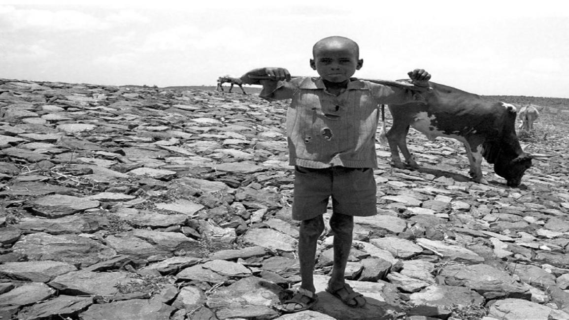 2- إريتريا... 80% من السكان يهددهم الجفاف بالجوع والأمراض