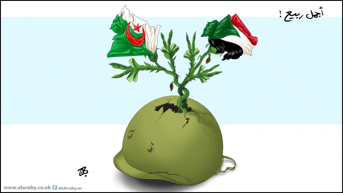كاريكاتير اجمل ربيع / حجاج