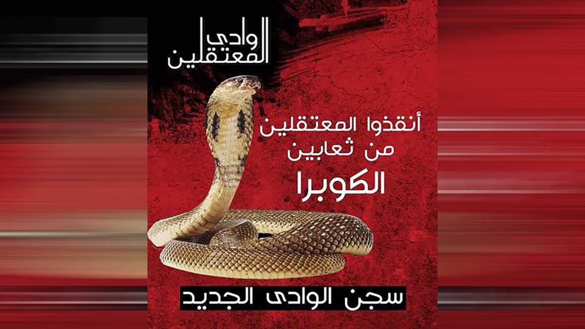 مصر.. ثعابين "الكوبرا" تهاجم سجن "الوادي الجديد"