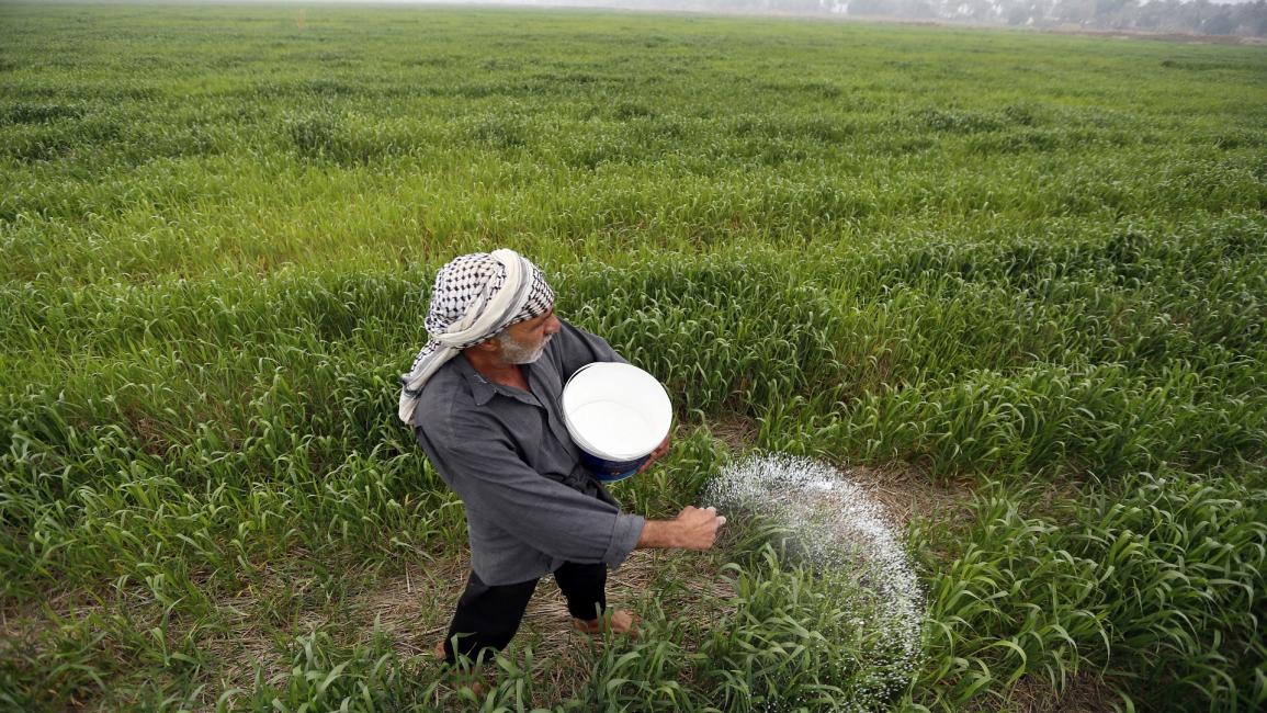 رجل عراقي وزراعة - العراق - مجتمع