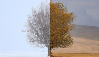 الشتاء والخريف في صورة واحدة..  كيف تتغير الألوان؟