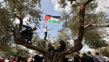 فلسطيني يلوح بالعلم قرب سخنين (فرانس برس)