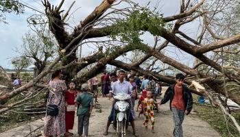 اقتلع الإعصار مئات الأشجار ودمر الطرق (ساي أونغ ماين/فرانس برس)