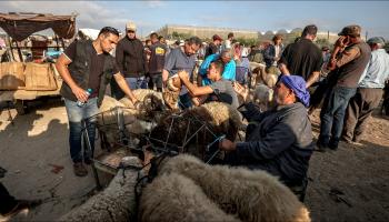 أسواق أضاحي العيد في غزة: ميزة "التقسيط" تزيد الإقبال على الشراء