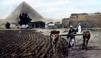 فلاح مصري في نهايات القرن التاسع عشر (Getty)