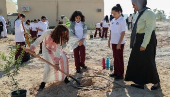 طلاب مؤسسة قطر يغرسون أشجار الزيتون في "حديقة غزة" (مؤسسة قطر)