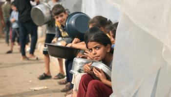 يحاول أطفال غزة الحصول على أي نوع من الطعام (محمود الهمص/ فرانس برس)
