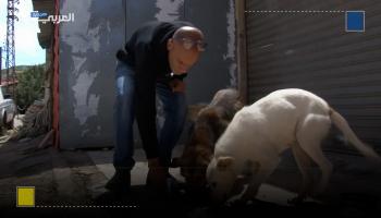 لبناني يتكفل بإطعام الحيوانات الشاردة في قرية حدودية رغم القصف