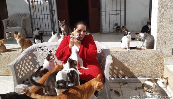 هدى بوشهدة وقططها- العربي الجديد