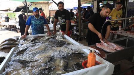 سوق أسماك في بغداد (الأناضول)