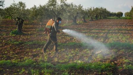 الزراعة في ريف حلب شمال غرب سورية في 22 فبراير 2022 (Getty)