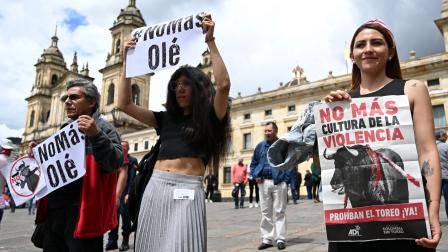 متظاهرون مؤيدون لحظر مصارعة الثيران أمام مبنى الكونغرس في بوغوتا، 7 مايو 2024 (راوول أربوليدا/ فرانس برس)